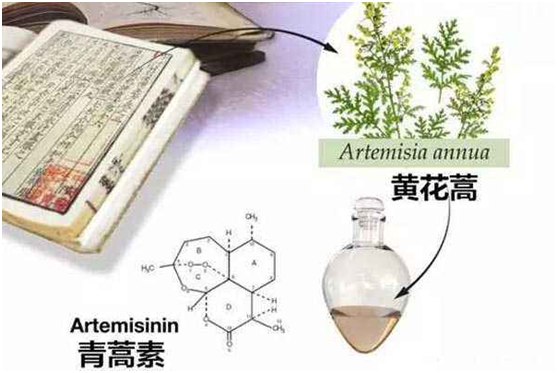 千亿平台客服,千亿（中国）：向中医药看齐，与世界共享中医药文化(图1)